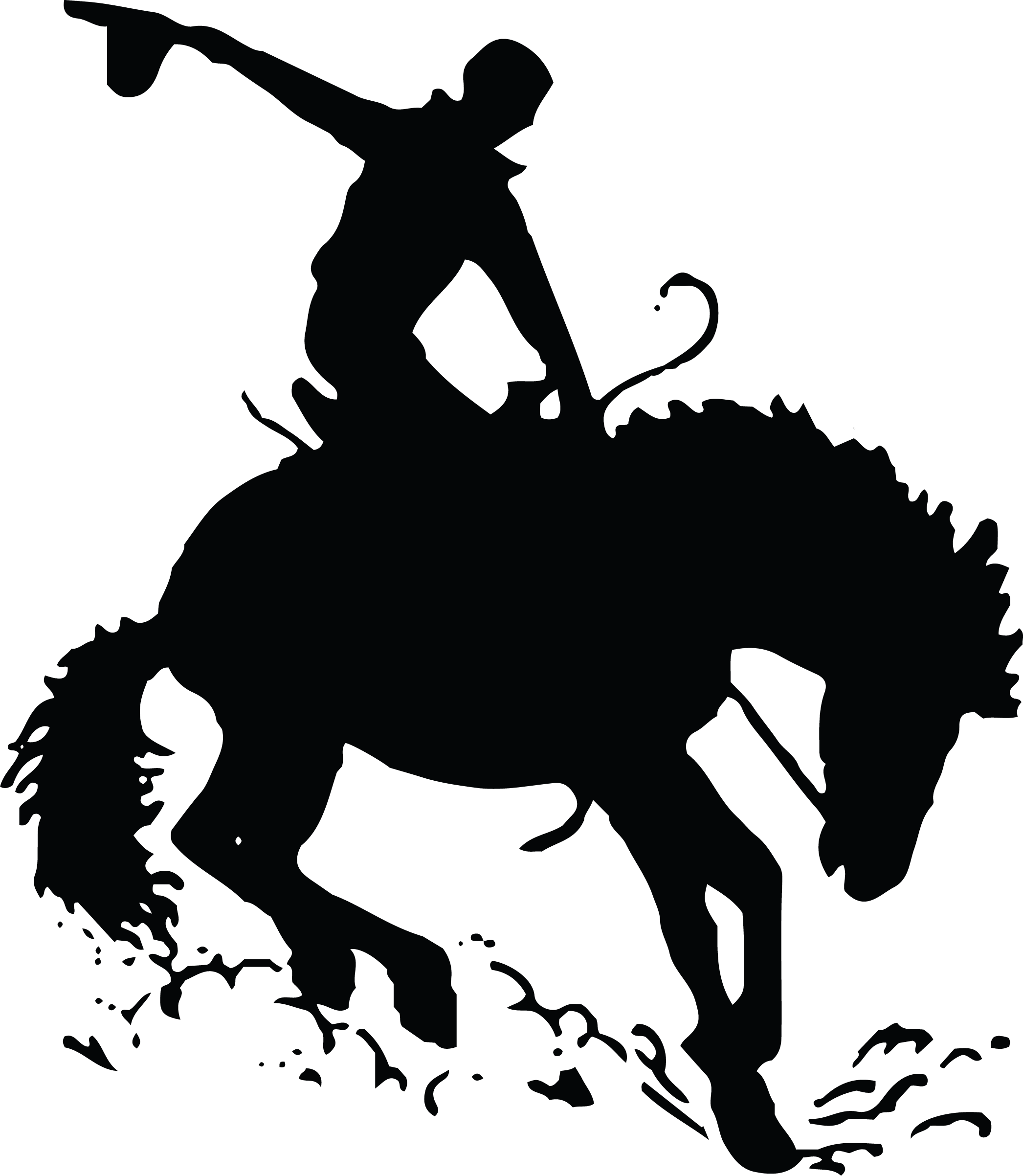 District Logo